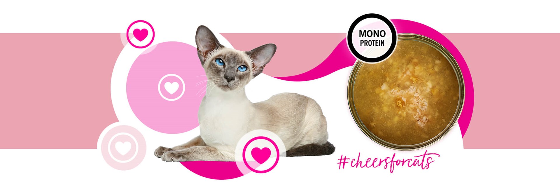 3Coty TURKEY Cheers! Complementary feed cats 160g - obrazek 4