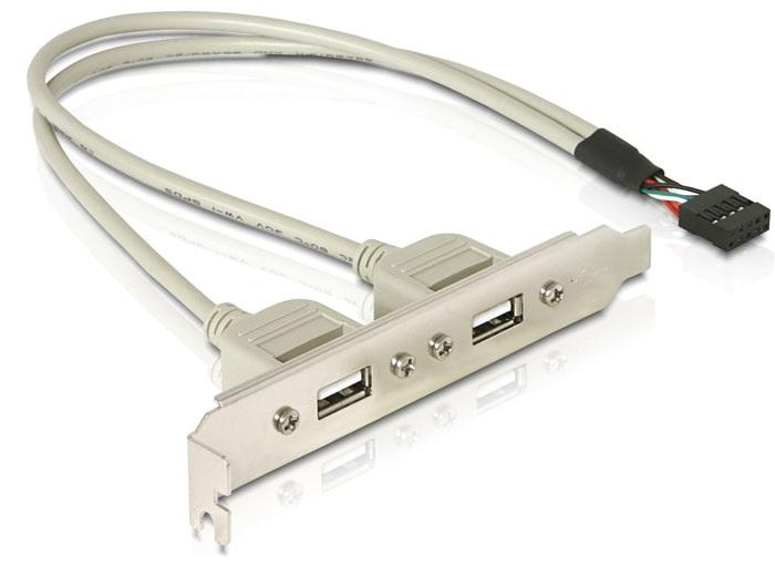 Delock Slot bracket 2 x USB 2.0