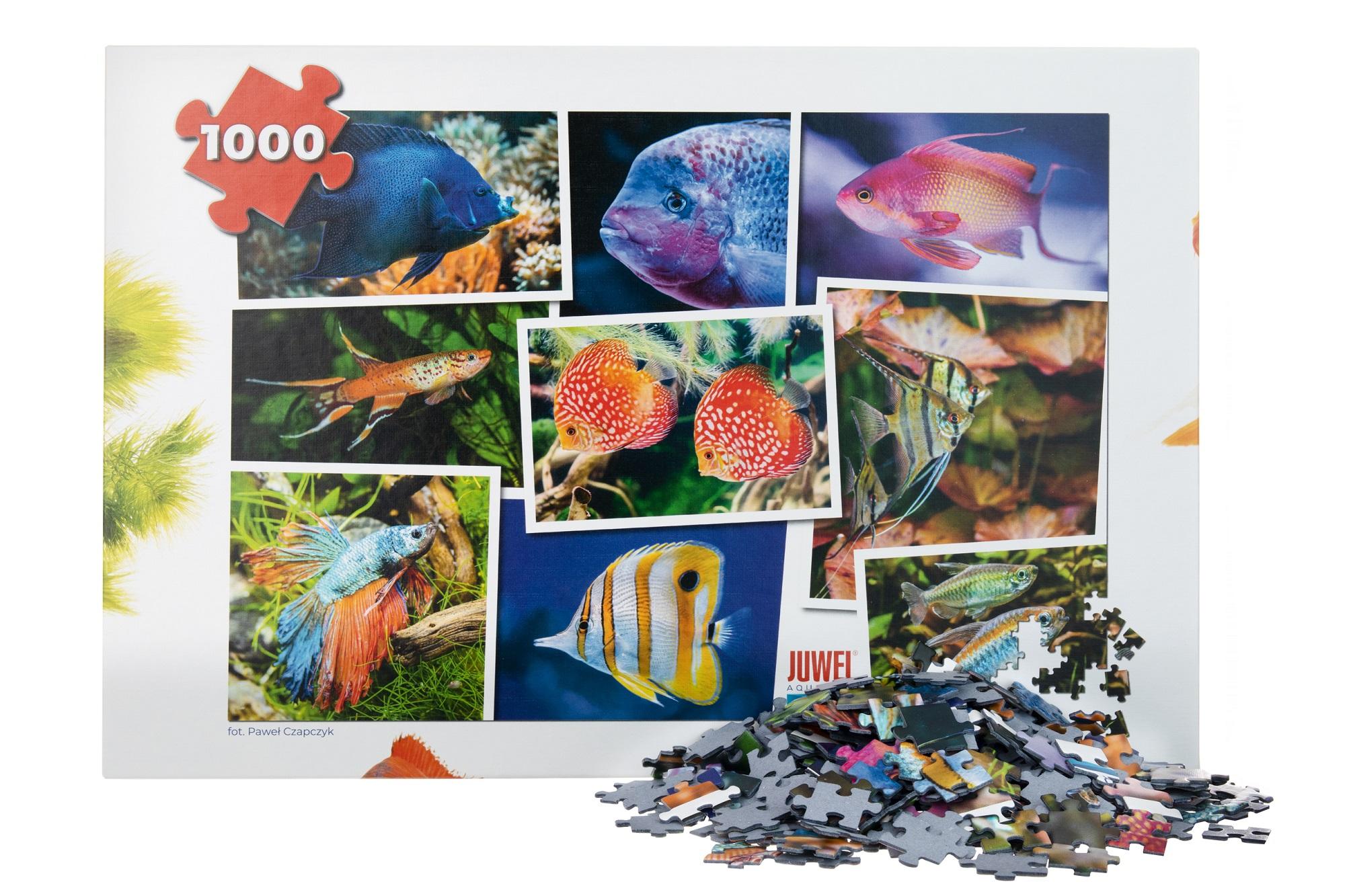 Puzzle 1000 elementów Juwel V1 - obrazek 4