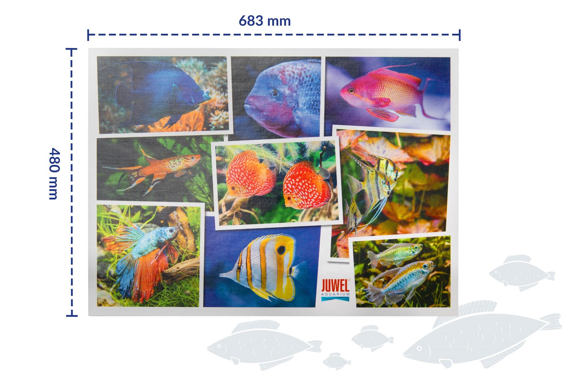 Puzzle 1000 elementów Juwel V1 - obrazek 6