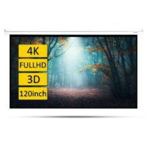 Ekran projekcyjny podwieszany Overmax Automatic Screen 120