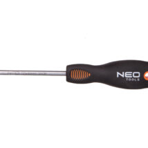 Wkretak Torx T25 x 100 mm SvCm 04-046