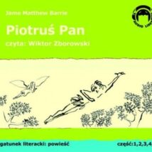 CD MP3 Piotruś Pan