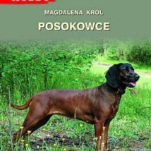 Posokowce