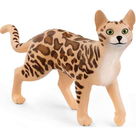 Kot bengalski SLH13918