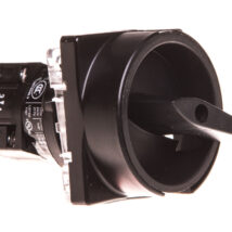 Łącznik krzywkowy 0-1 2P 10A do wbudowania TM-1-8291/E/SVB-SW 215352