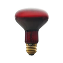 Promiennik podczerwieni E27 100W R80RB do terrarium PRO-1465