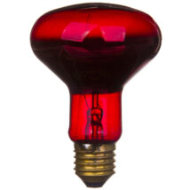 Promiennik podczerwieni E27 75W R80RB do terrarium PRO-1466