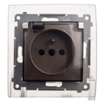 Simon 54 Gniazdo bryzgoszczelne z/u IP44 z klapką transparentną złoty mat DGZ1BZ.01/44A