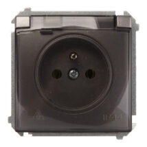 Simon Basic Gniazdo bryzgoszczelne z/u IP44 z klapką dymną stal inox BMGZ1B.01/21a