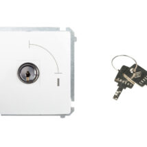 Simon Basic Łącznik jednobiegunowy z kluczem dwupozycyjnym biały BMW1K.01/11